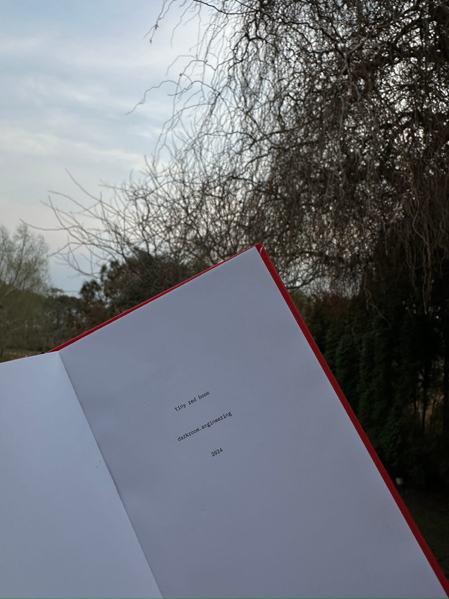 our manifesto book photo with a red cover